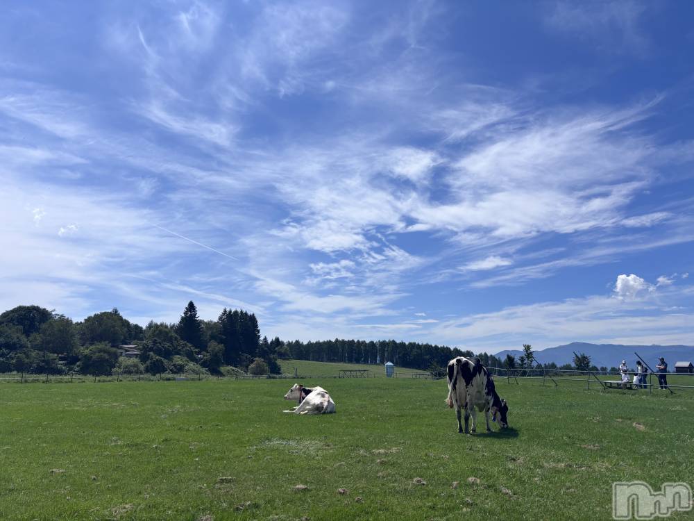 ��ë����Х��顦�����CLUB��Paladin(����֡��ѥ�ǥ���) �����9��11���̥�֥����֤Τ�Ӥ��