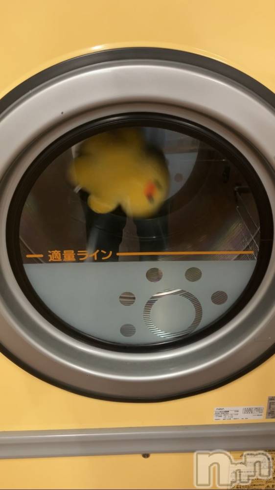 ��ë����Х��顦�����CLUB��Paladin(����֡��ѥ�ǥ���) �����9��26���̥�֥����ֲİ���🐥��