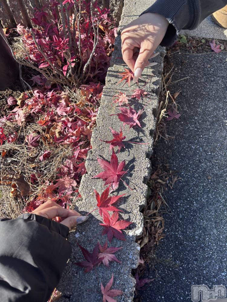 ��ë����Х��顦�����CLUB��Paladin(����֡��ѥ�ǥ���) �����12��9���̥�֥�����🍁��