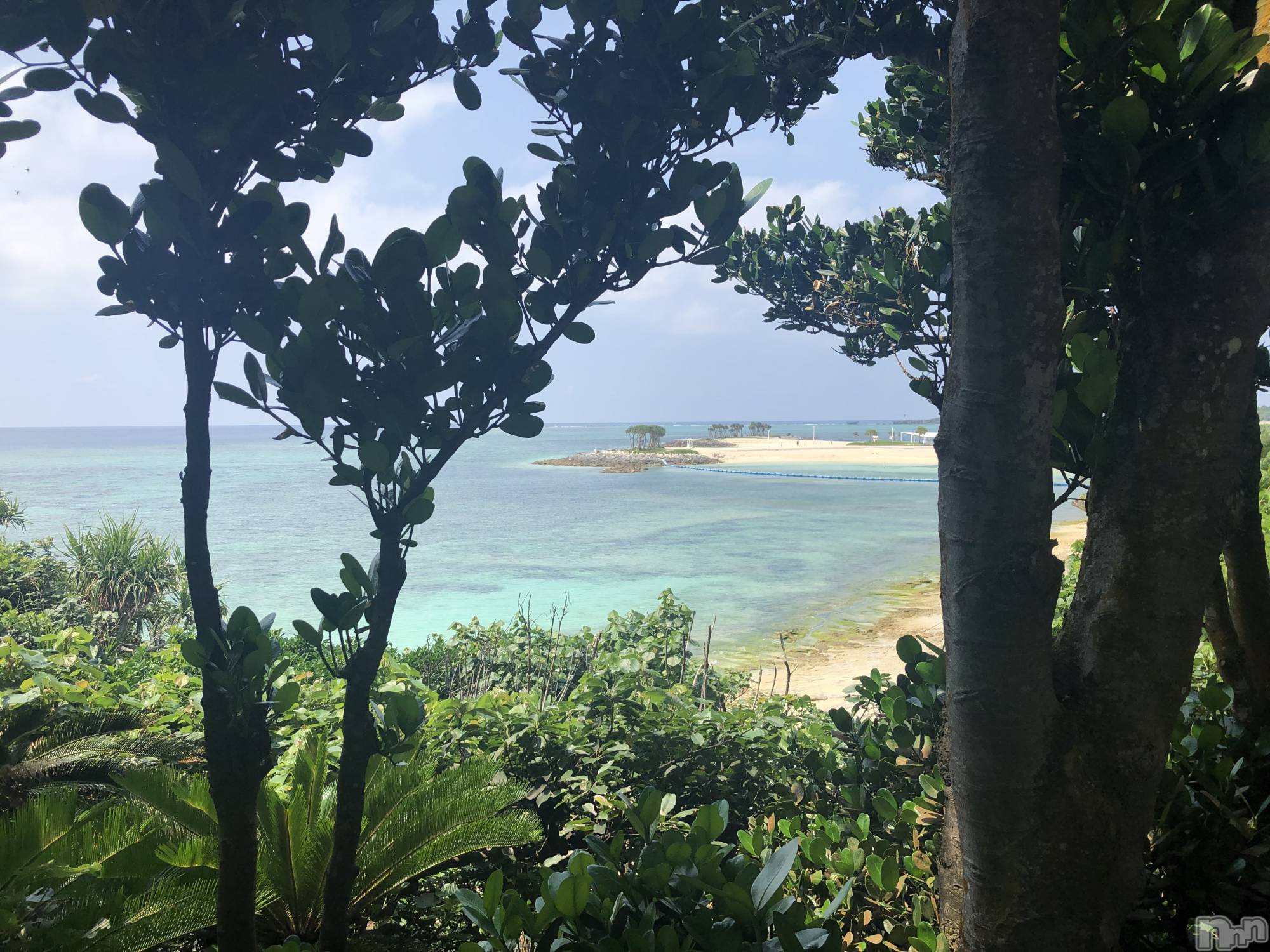 ��ë����Х��顦�����CLUB��Paladin(����֡��ѥ�ǥ���) ��2024ǯ1��18���̥�֥�����🌙��