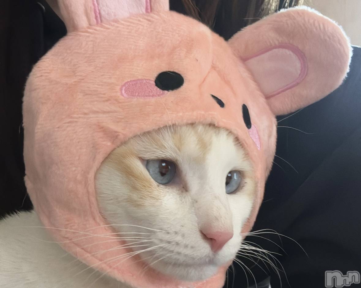 ��ë����Х��顦�����CLUB��Paladin(����֡��ѥ�ǥ���) ��2024ǯ2��23���̥�֥�����🌙��