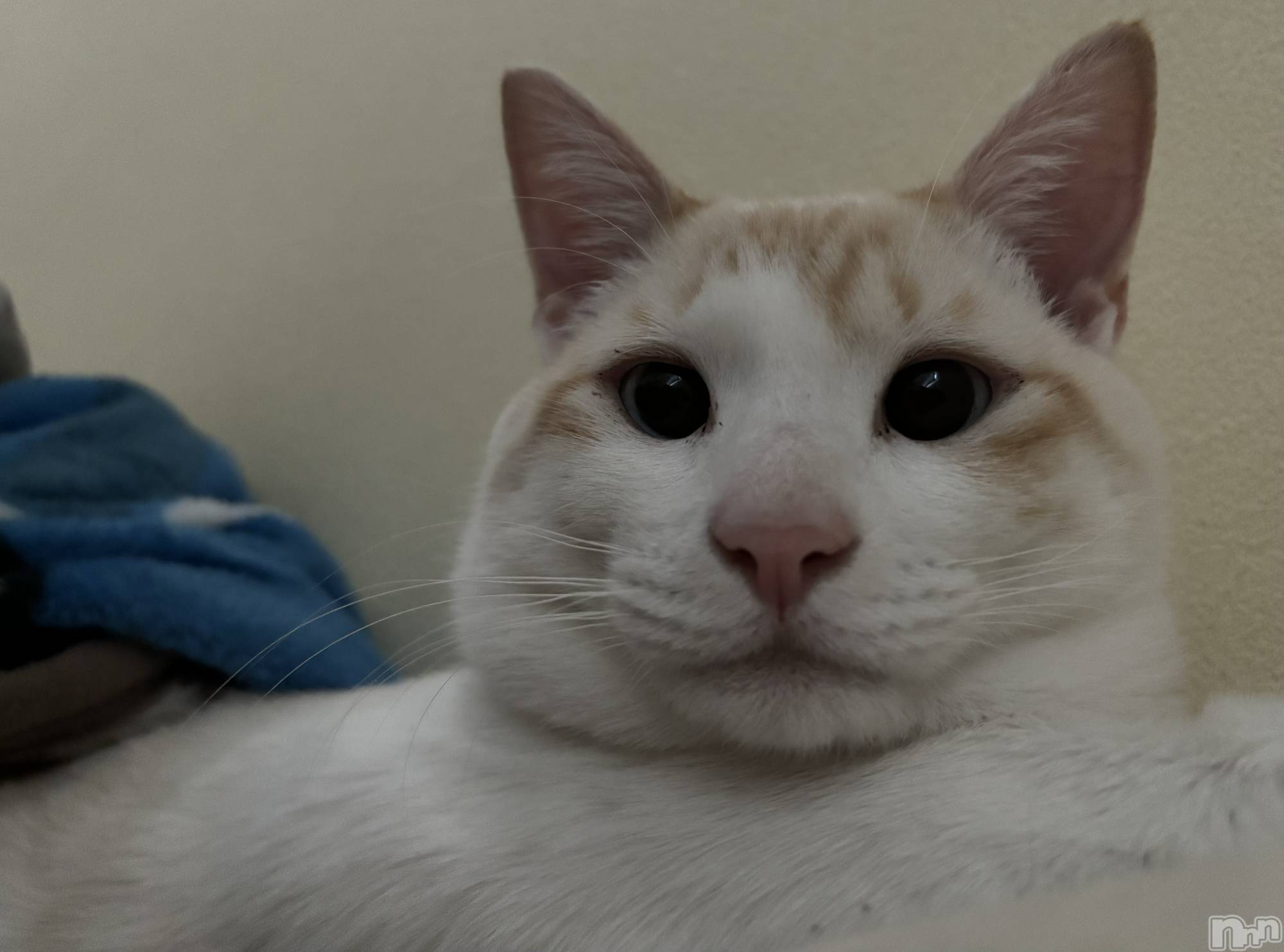 ��ë����Х��顦�����CLUB��Paladin(����֡��ѥ�ǥ���) ��2024ǯ3��13���̥�֥�����🌙��