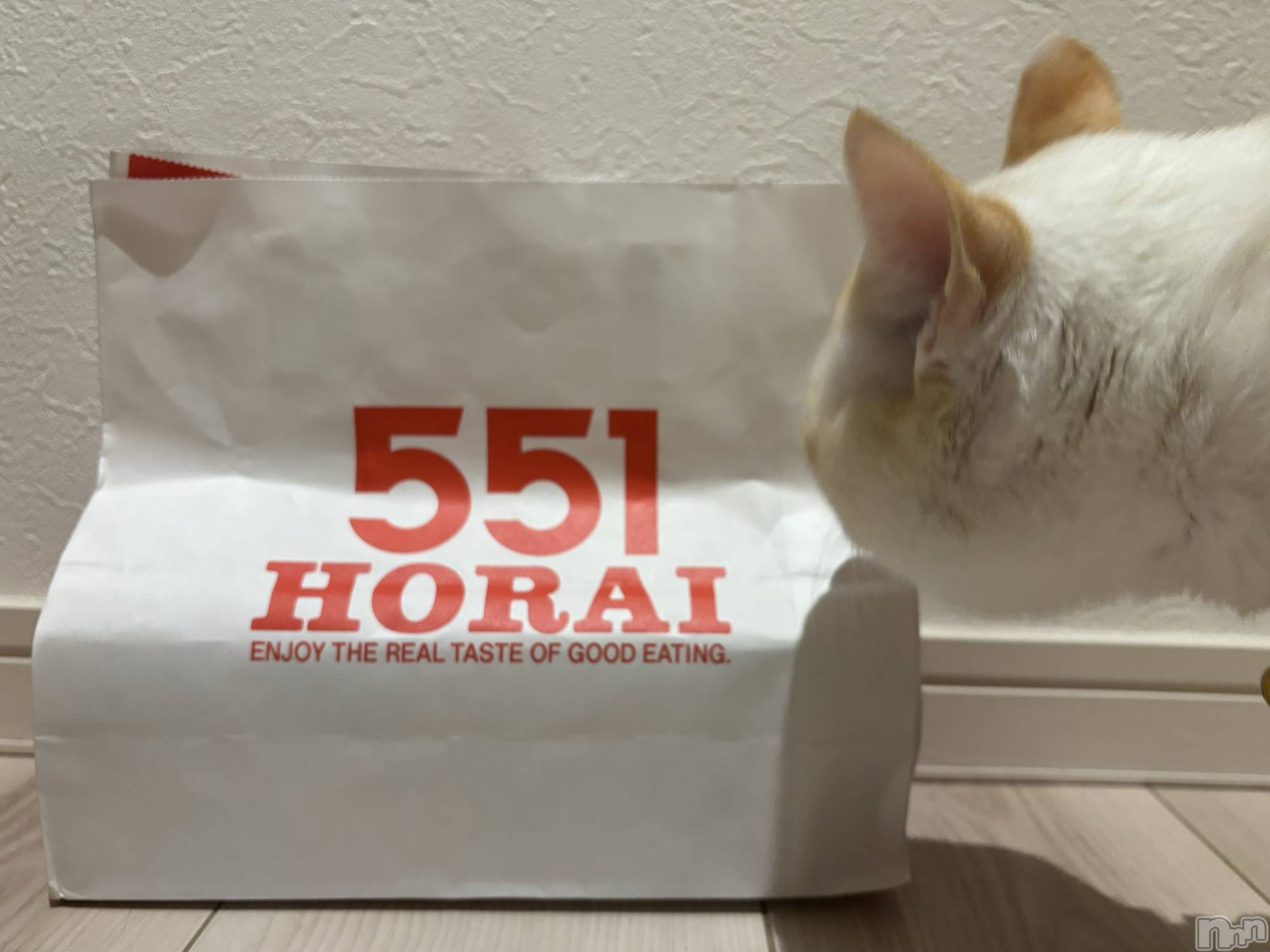 ��ë����Х��顦�����CLUB��Paladin(����֡��ѥ�ǥ���) ��2024ǯ3��23���̥�֥�����🌙��