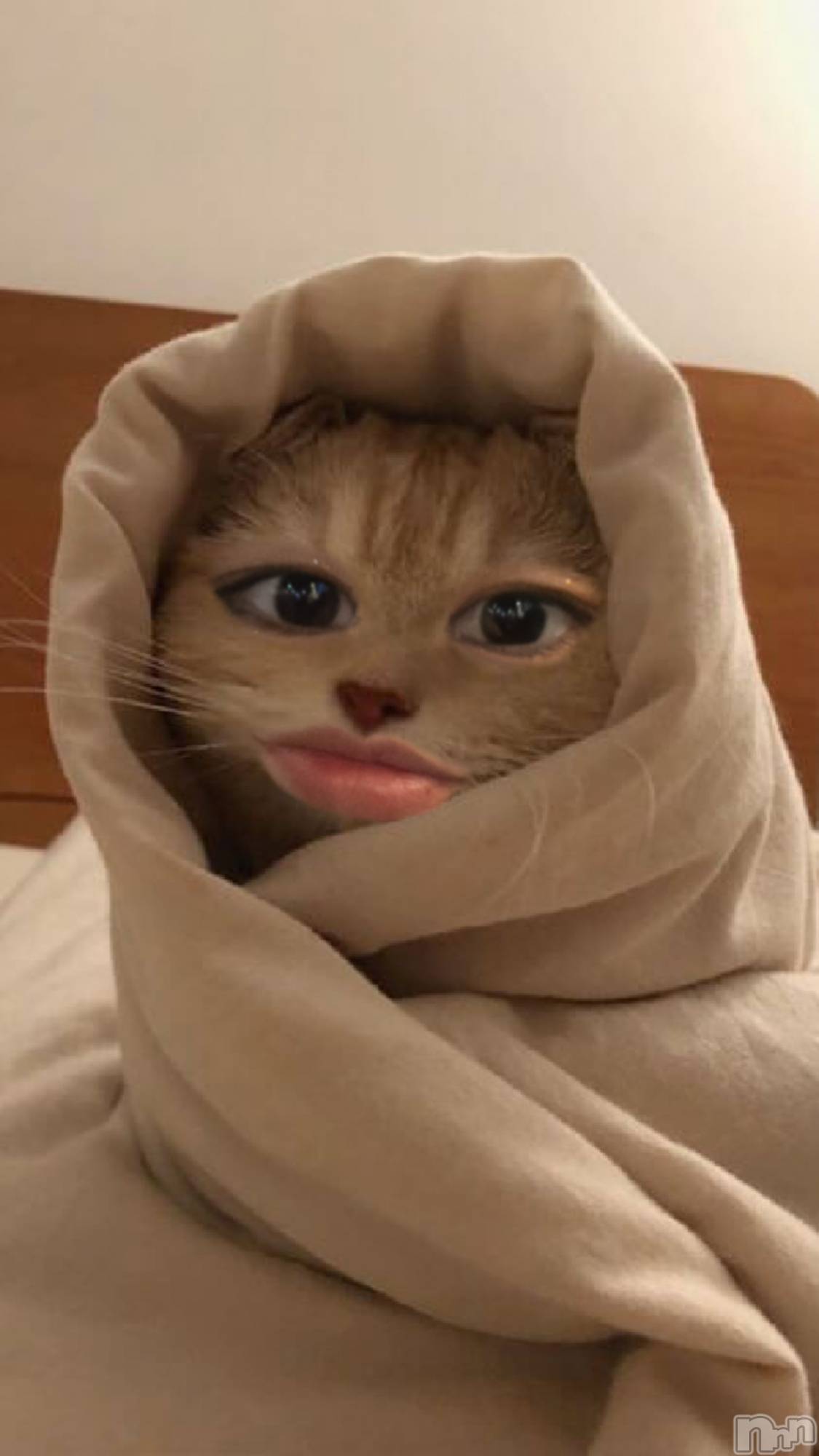 ��ë����Х��顦�����CLUB��Paladin(����֡��ѥ�ǥ���) ��2024ǯ4��3���̥�֥�����🌙��