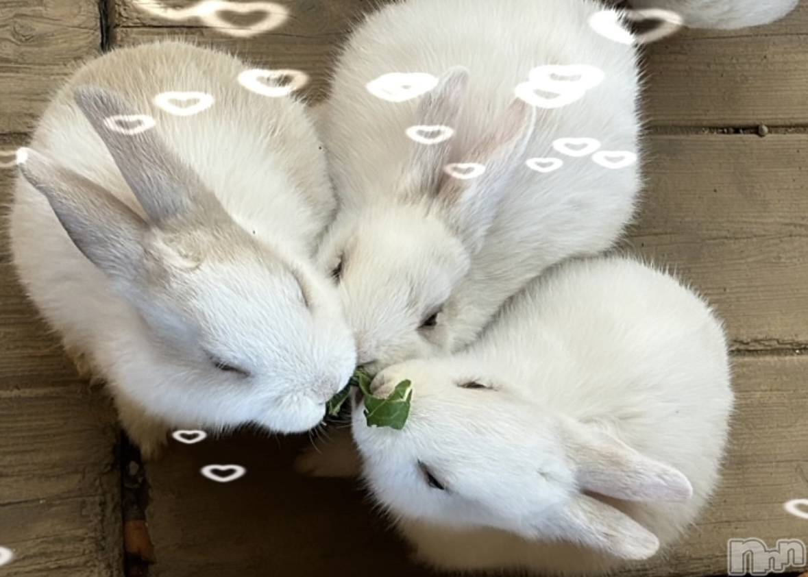 ��ë����Х��顦�����CLUB��Paladin(����֡��ѥ�ǥ���) ��2024ǯ4��17���̥�֥�����🌙��