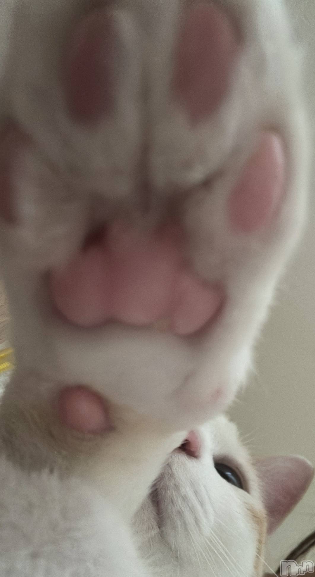 ��ë����Х��顦�����CLUB��Paladin(����֡��ѥ�ǥ���) ��2024ǯ7��11���̥�֥�����🌙��