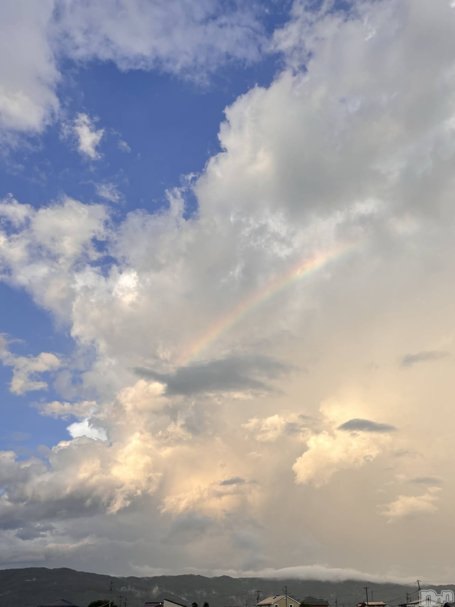 ��ë����Х��顦�����CLUB��Paladin(����֡��ѥ�ǥ���) ��2024ǯ8��1���̥�֥�����🌙��