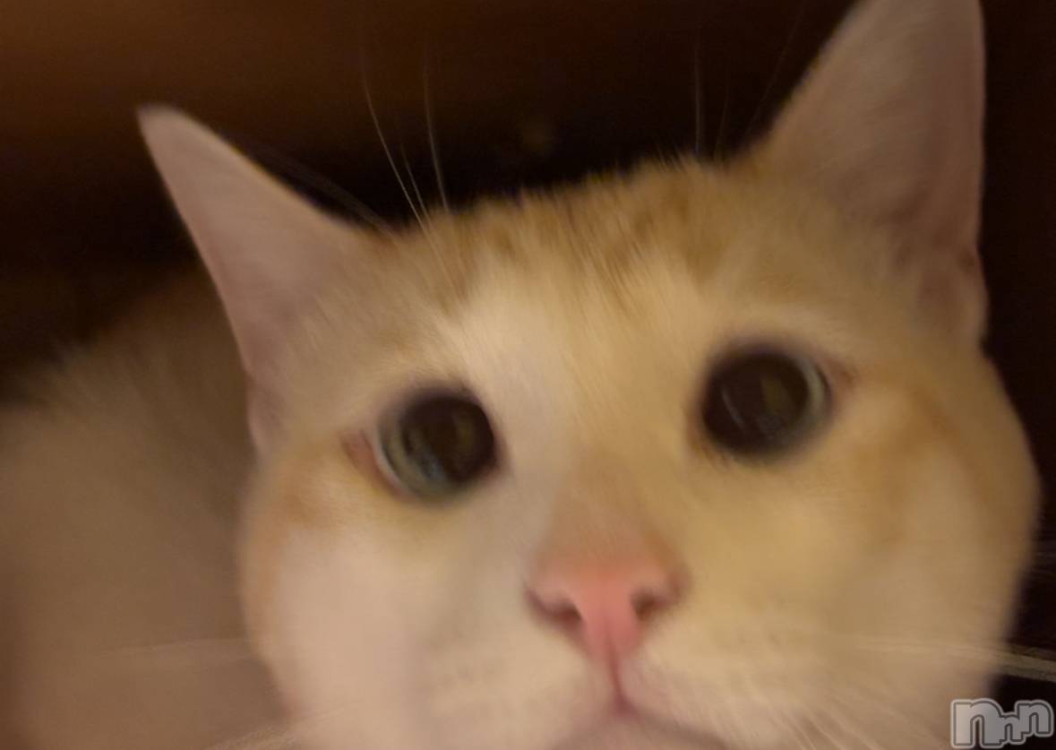 ��ë����Х��顦�����CLUB��Paladin(����֡��ѥ�ǥ���) ��2024ǯ8��8���̥�֥�����🌙��