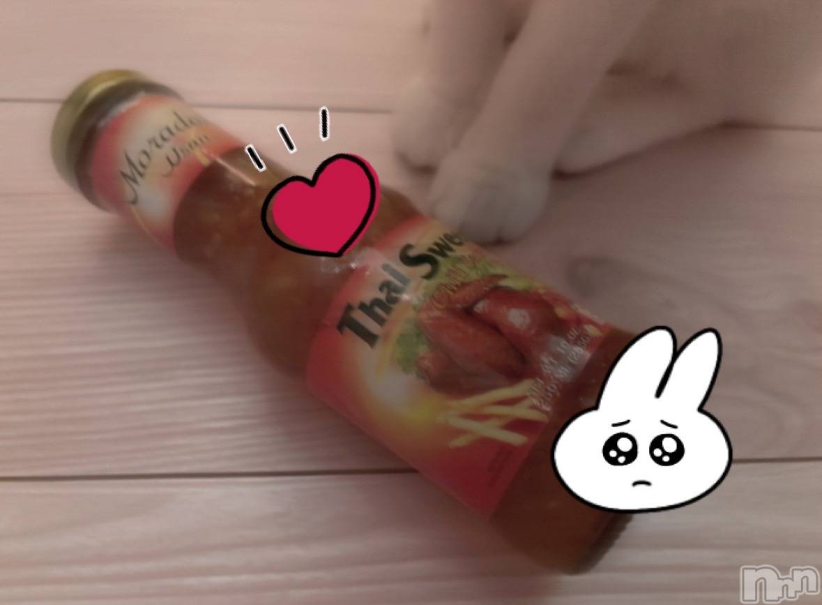 ��ë����Х��顦�����CLUB��Paladin(����֡��ѥ�ǥ���) ��2024ǯ8��25���̥�֥�����🌙��