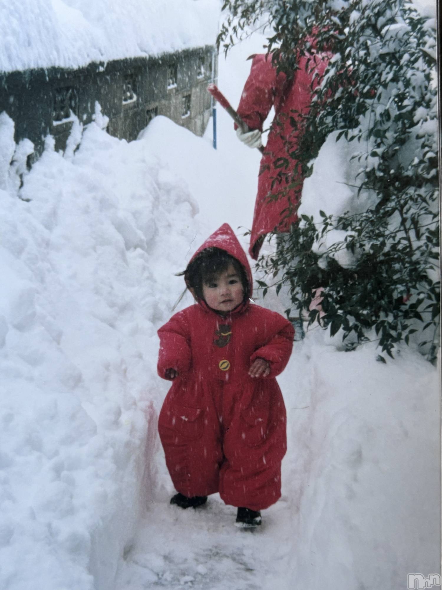 ��ë����Х��顦�����CLUB��Paladin(����֡��ѥ�ǥ���) ��2024ǯ10��3���̥�֥����֤��褤��..☃️��