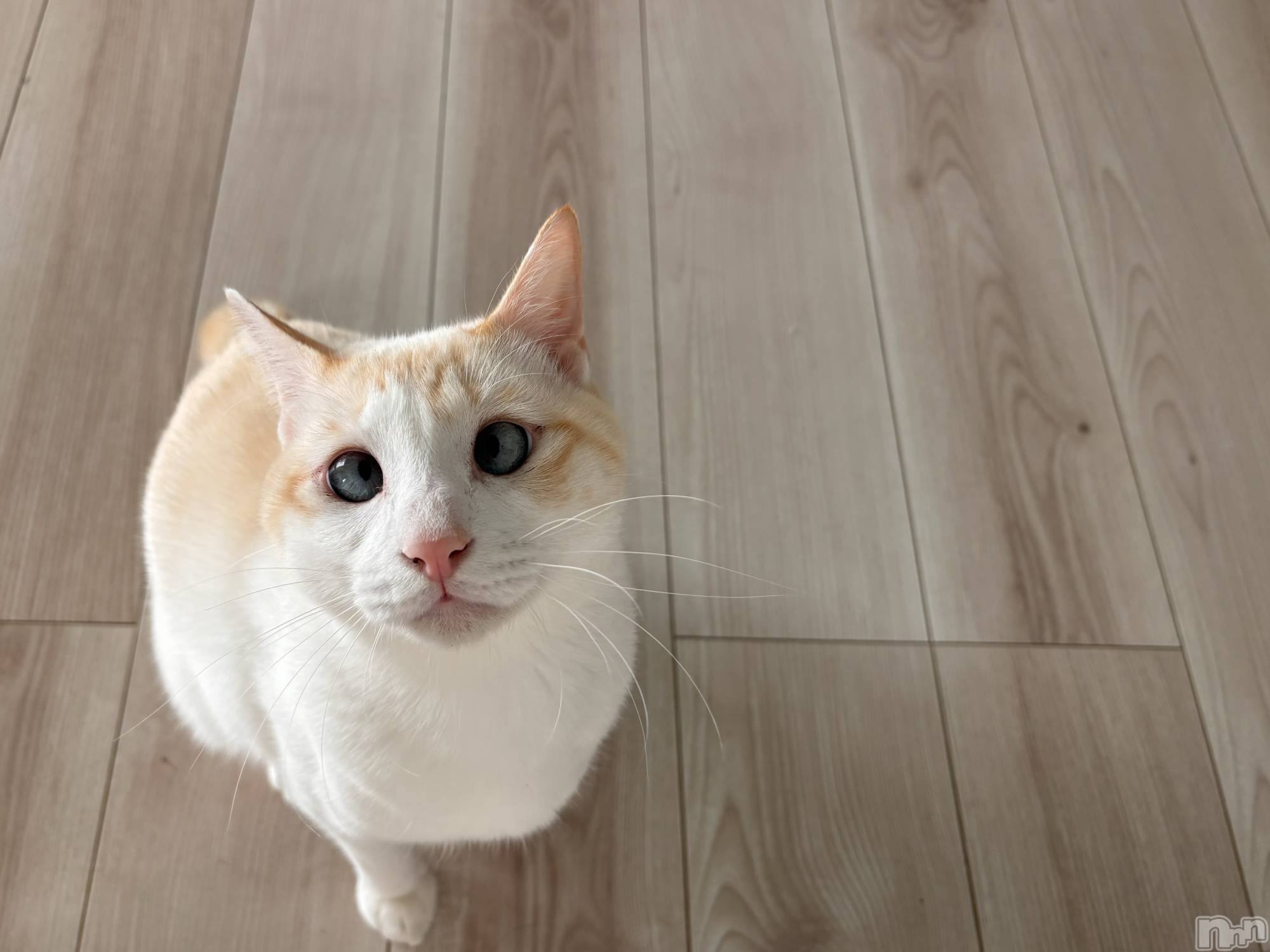 ��ë����Х��顦�����CLUB��Paladin(����֡��ѥ�ǥ���) ��2024ǯ10��16���̥�֥�����¿ʬ🤔��