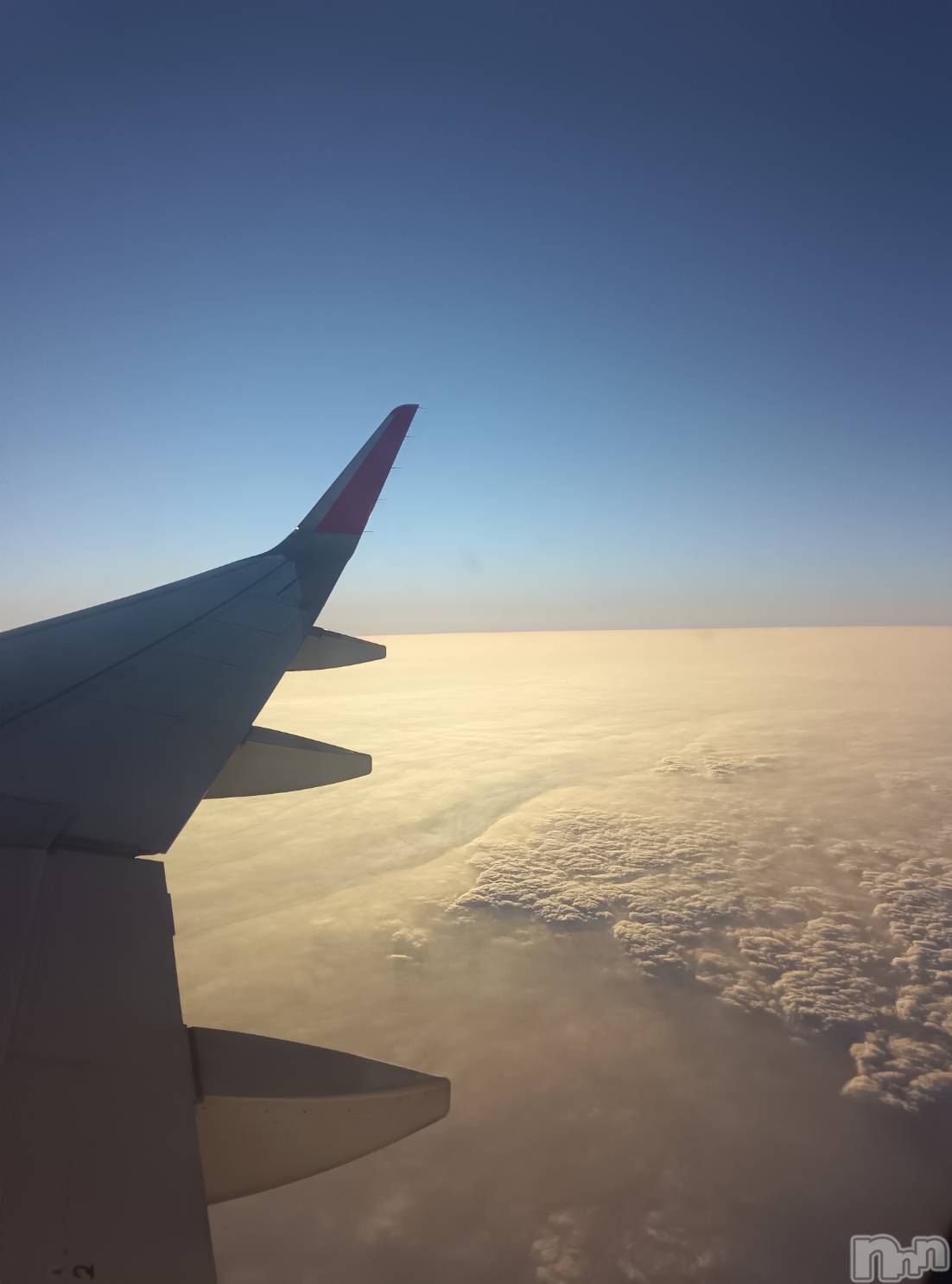 ��ë����Х��顦�����CLUB��Paladin(����֡��ѥ�ǥ���) ��2024ǯ11��22���̥�֥����ֹԤ�����✈️��