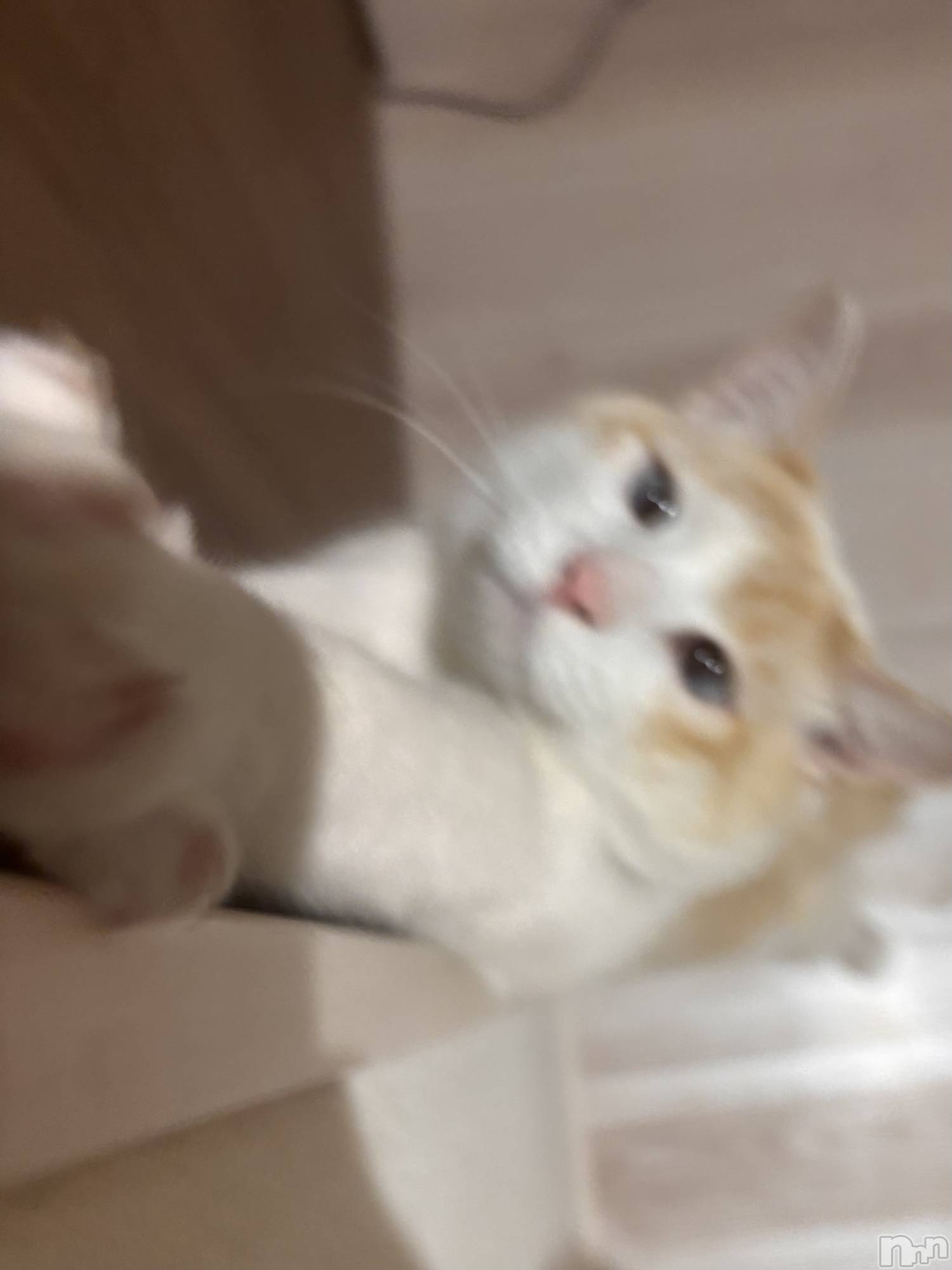 ��ë����Х��顦�����CLUB��Paladin(����֡��ѥ�ǥ���) ��2025ǯ1��9���̥�֥����� ٍ ٛ  . ̫. ٛ ٍ��