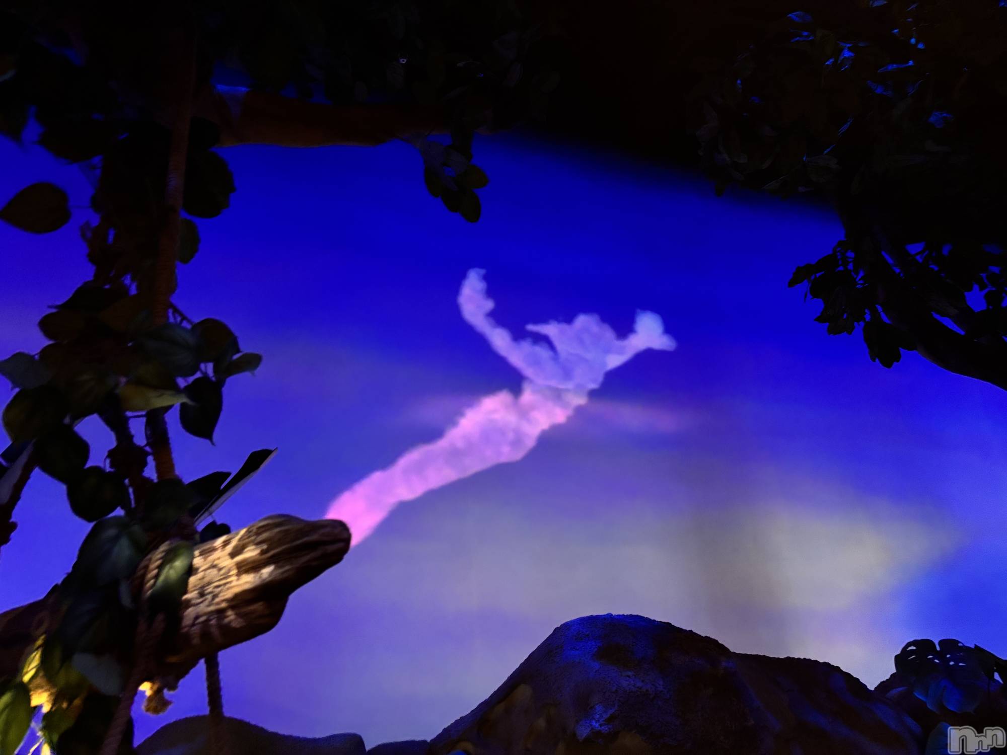 ��ë����Х��顦�����CLUB��Paladin(����֡��ѥ�ǥ���) ��2025ǯ1��11���̥�֥����֤ɡ�����🌟��