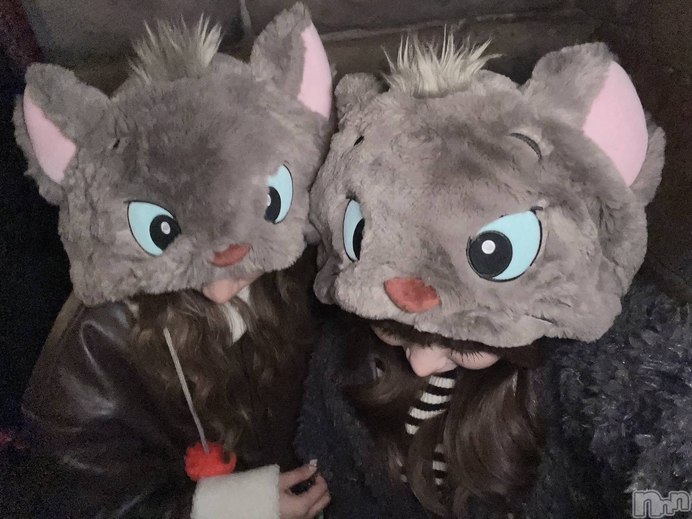 ��ë����Х��顦�����CLUB��Paladin(����֡��ѥ�ǥ���) ��2025ǯ2��1���̥�֥�����🐈‍⬛��