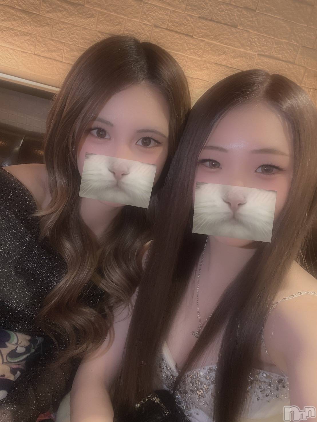 ��ë����Х��顦�����CLUB��Paladin(����֡��ѥ�ǥ���) ��2025ǯ2��9���̥�֥����֤ͤ�🐈��