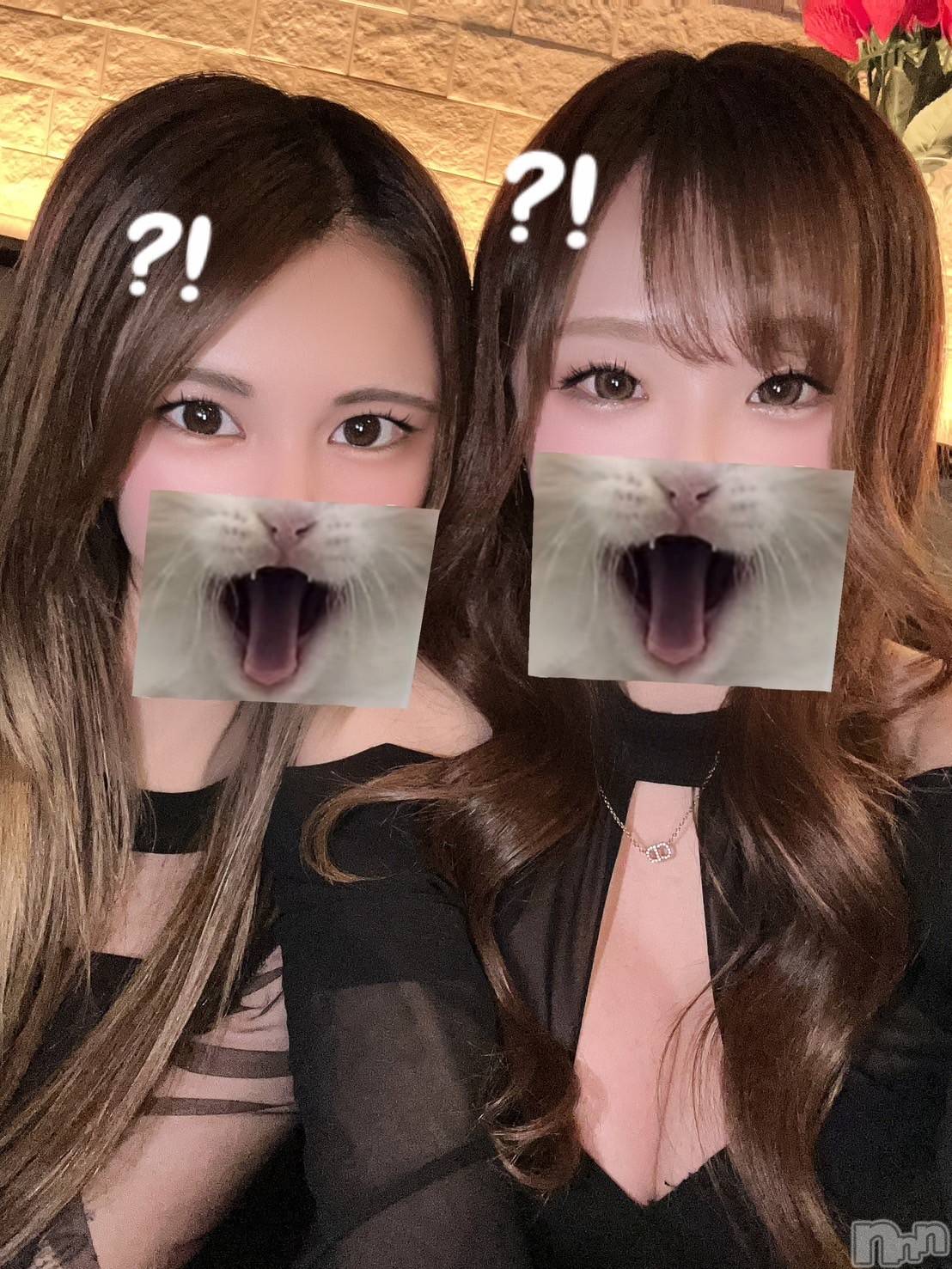 ��ë����Х��顦�����CLUB��Paladin(����֡��ѥ�ǥ���) ��2025ǯ3��22���̥�֥�����🐱?!��