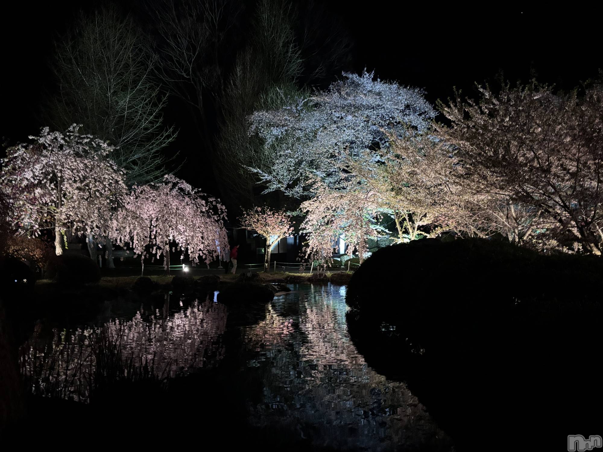 ��ë����Х��顦�����CLUB��Paladin(����֡��ѥ�ǥ���) ��2025ǯ4��22���̥�֥��������🌸��