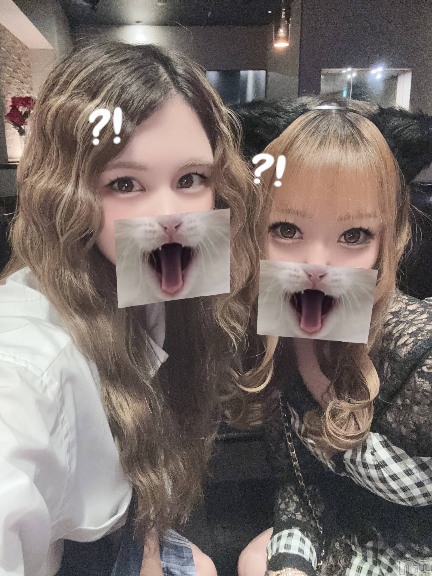 ��ë����Х��顦�����CLUB��Paladin(����֡��ѥ�ǥ���) ��2025ǯ5��28���̥�֥����֤ͤͤ����🐈‍⬛��