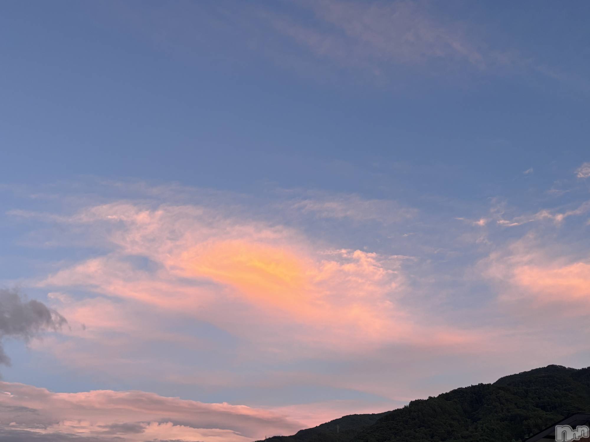 ��ë����Х��顦�����CLUB��Paladin(����֡��ѥ�ǥ���) ��2025ǯ6��26���̥�֥�����Ƭ�ˤ�����������