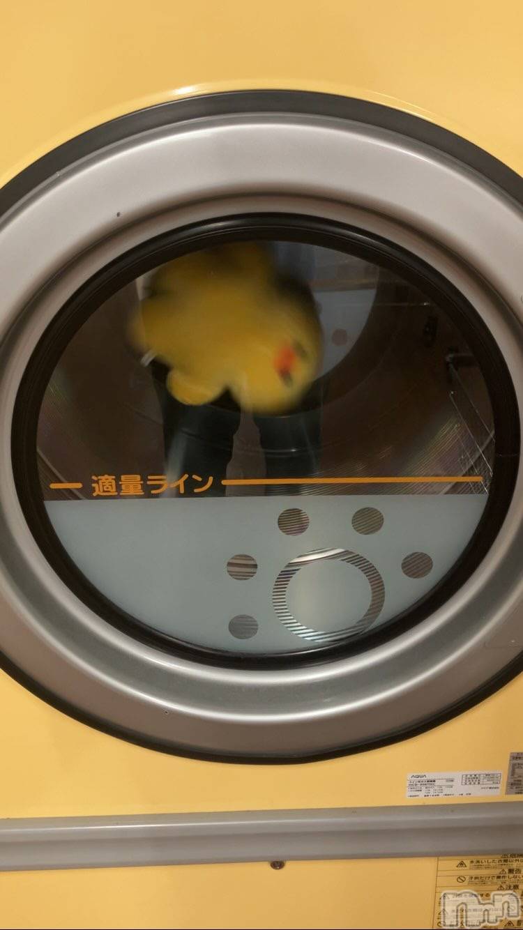 ��ë����Х��顦�����CLUB��Paladin(����֡��ѥ�ǥ���) ��2025ǯ9��26���̥�֥����ֲİ���🐥��