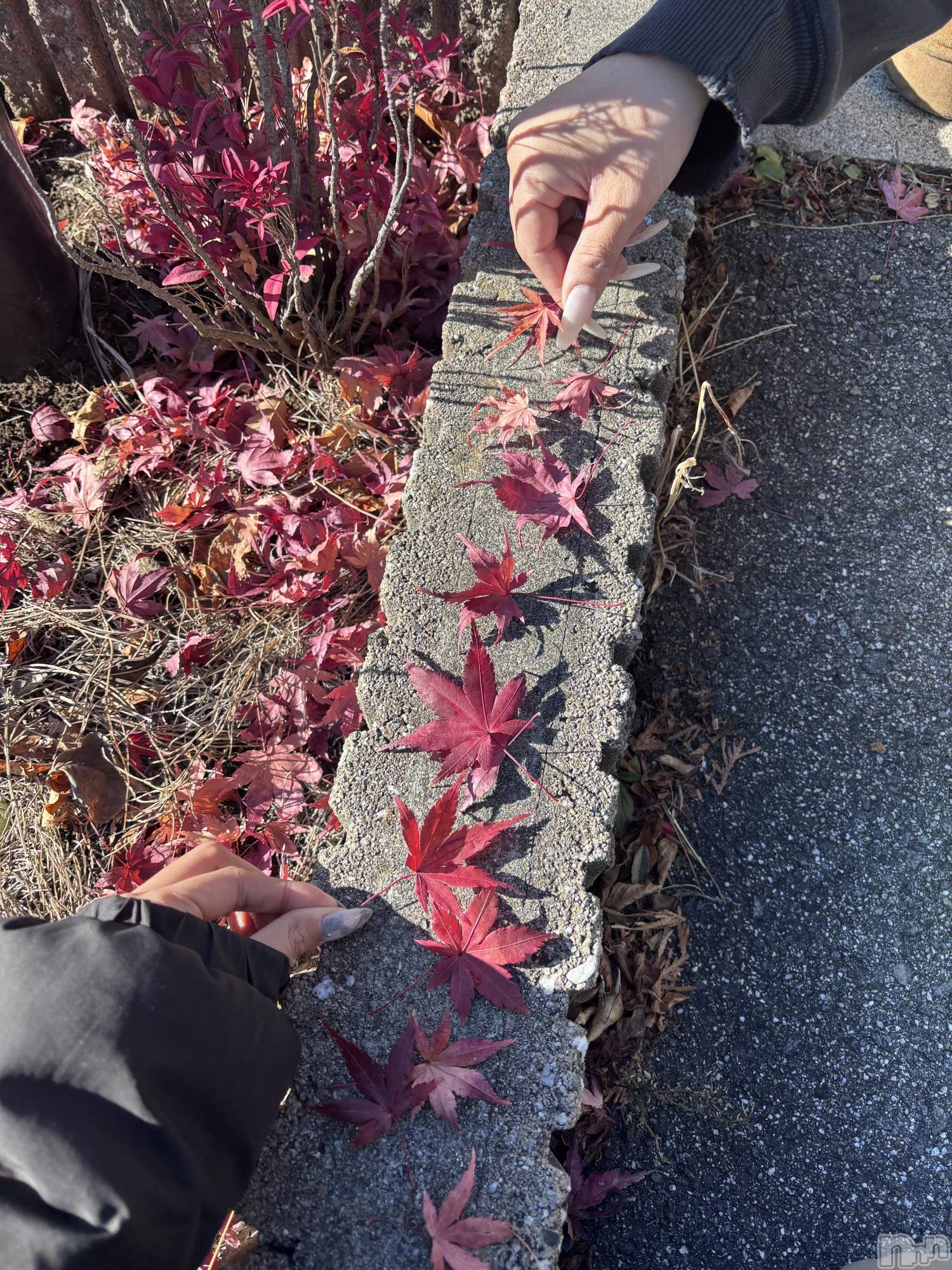 ��ë����Х��顦�����CLUB��Paladin(����֡��ѥ�ǥ���) ��2025ǯ12��9���̥�֥�����🍁��