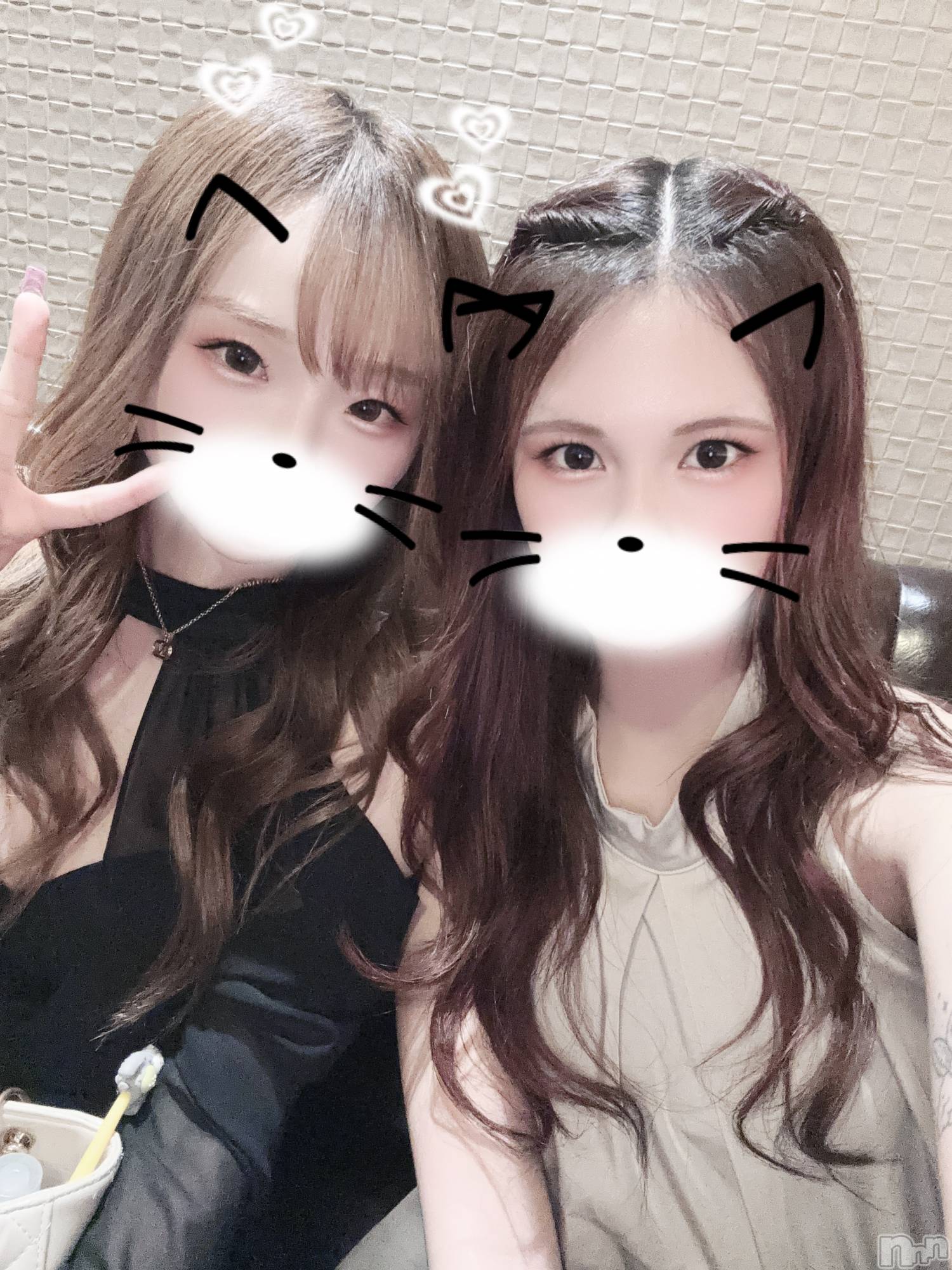 ��ë����Х��顦�����CLUB��Paladin(����֡��ѥ�ǥ���) ��2026ǯ4��24���̥�֥����֤ߤ���