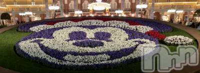 ��ë����Х��顦�����CLUB��Paladin(����֡��ѥ�ǥ���) �����12��26���̥�֥�����🌙��