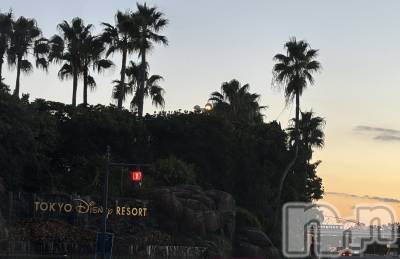 ��ë����Х��顦�����CLUB��Paladin(����֡��ѥ�ǥ���) �����1��12���̥�֥�����🌙��