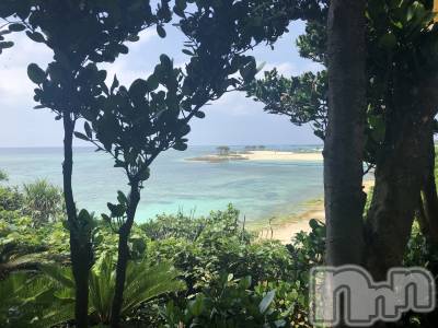 ��ë����Х��顦�����CLUB��Paladin(����֡��ѥ�ǥ���) �����1��18���̥�֥�����🌙��