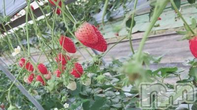 ��ë����Х��顦�����CLUB��Paladin(����֡��ѥ�ǥ���) �����1��30���̥�֥�����🌙��