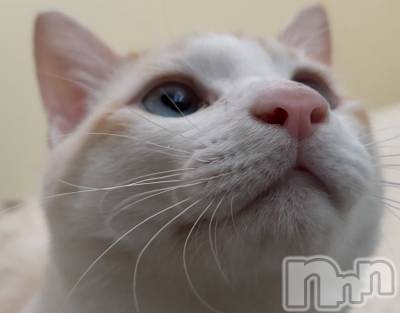 ��ë����Х��顦�����CLUB��Paladin(����֡��ѥ�ǥ���) �����2��11���̥�֥�����🌙��