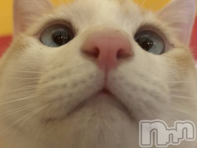 ��ë����Х��顦�����CLUB��Paladin(����֡��ѥ�ǥ���) �����2��13���̥�֥�����🌙��