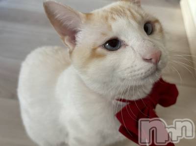 ��ë����Х��顦�����CLUB��Paladin(����֡��ѥ�ǥ���) �����2��14���̥�֥�����🌙��