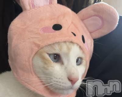 ��ë����Х��顦�����CLUB��Paladin(����֡��ѥ�ǥ���) �����2��23���̥�֥�����🌙��