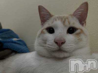 ��ë����Х��顦�����CLUB��Paladin(����֡��ѥ�ǥ���) �����3��13���̥�֥�����🌙��