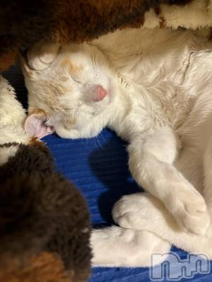 ��ë����Х��顦�����CLUB��Paladin(����֡��ѥ�ǥ���) �����3��14���̥�֥�����🌙��