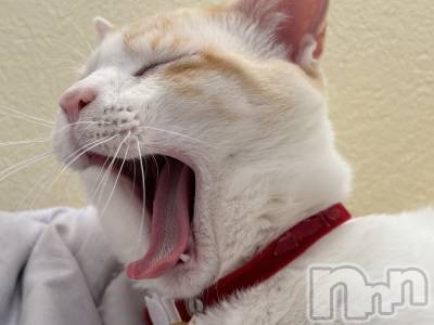 ��ë����Х��顦�����CLUB��Paladin(����֡��ѥ�ǥ���) �����4��2���̥�֥�����🌙��