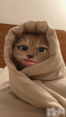 ��ë����Х��顦�����CLUB��Paladin(����֡��ѥ�ǥ���) �����4��3���̥�֥�����🌙��