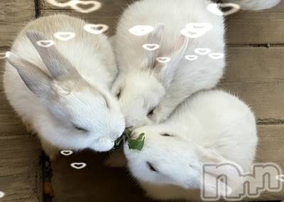 ��ë����Х��顦�����CLUB��Paladin(����֡��ѥ�ǥ���) �����4��17���̥�֥�����🌙��