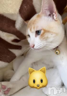 ��ë����Х��顦�����CLUB��Paladin(����֡��ѥ�ǥ���) �����5��24���̥�֥�����🌙��