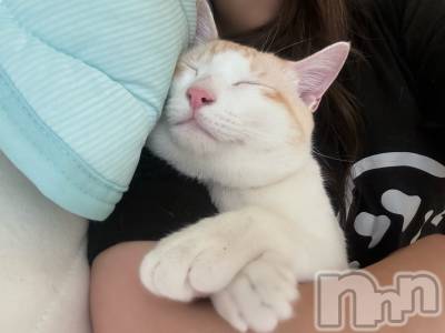 ��ë����Х��顦�����CLUB��Paladin(����֡��ѥ�ǥ���) �����6��26���̥�֥�����🌙��