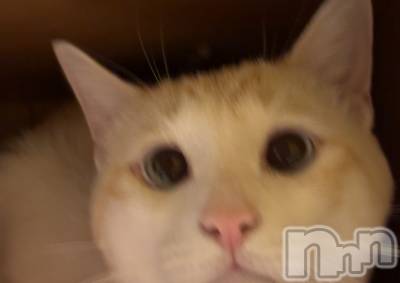 ��ë����Х��顦�����CLUB��Paladin(����֡��ѥ�ǥ���) �����8��8���̥�֥�����🌙��