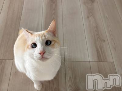 ��ë����Х��顦�����CLUB��Paladin(����֡��ѥ�ǥ���) �����10��16���̥�֥�����¿ʬ🤔��