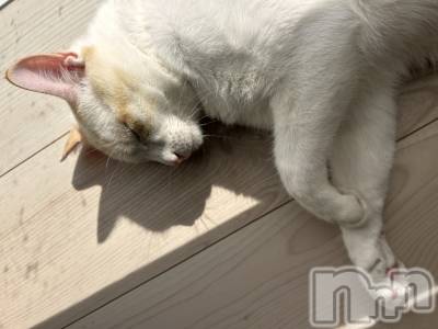 ��ë����Х��顦�����CLUB��Paladin(����֡��ѥ�ǥ���) �����10��23���̥�֥����֤��褤���