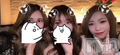 ��ë����Х��顦�����CLUB��Paladin(����֡��ѥ�ǥ���) �����11��29���̥�֥����֤����