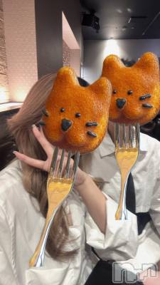 ��ë����Х��顦�����CLUB��Paladin(����֡��ѥ�ǥ���) �����12��1���̥�֥������᤹��..��