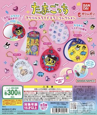 ��ë����Х��顦�����CLUB��Paladin(����֡��ѥ�ǥ���) �����2��9���̥�֥����֤Ϥ����ߤ���🫶🏽��