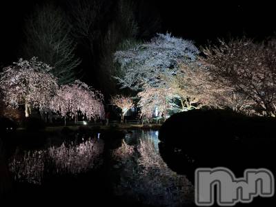 ��ë����Х��顦�����CLUB��Paladin(����֡��ѥ�ǥ���) �����4��22���̥�֥��������🌸��