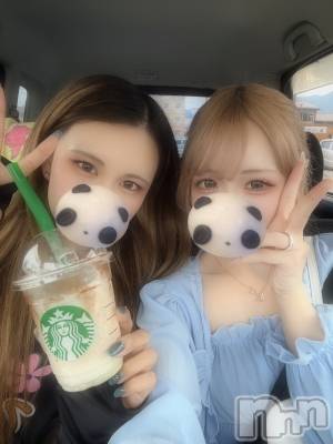 ��ë����Х��顦�����CLUB��Paladin(����֡��ѥ�ǥ���) �����8��1���̥�֥����֤���������